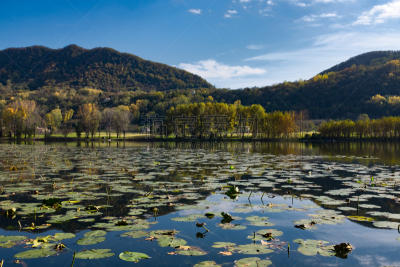湖,风景