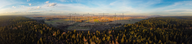 全景,房屋,森林,在上面,看风景,居住区,少量物体,航拍视角,田地
