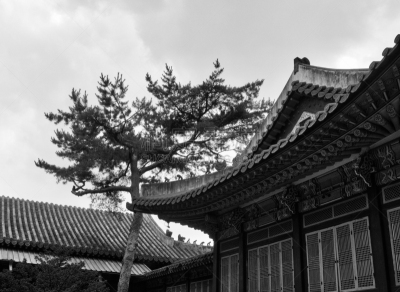 Korea's Traditional Palace Changdeok Palace, Black and white photo