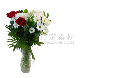 玫瑰,花瓶,白色背景,圣安德鲁十字架,请柬,背景分离,跃立狮形,情人节卡,模板,旗鱼