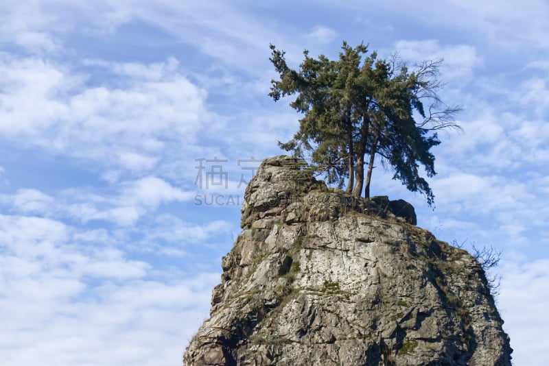 史坦利公园,特写,风景,西沃许岩石,寂寞,在上面,俄亥俄河,树