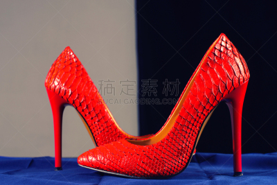 蛇皮纹,鞋子,红色,背景分离,舒服,凉鞋,蛇,现代,女人,尖的