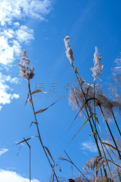 Lakeside scenery of Kunming ,Yunnan province ,China。