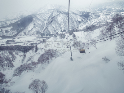 雪,滑雪运动,雪板,运动,雪山,病毒,参观者,佐阿山脉,动物雪车,户外