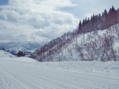 雪,滑雪运动,雪板,运动,雪山,病毒,参观者,佐阿山脉,动物雪车,户外