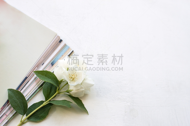 贺卡,正下方视角,蓝色背景,白色,即时成像,轻蔑的,图像技术,视角,空的,打印单据