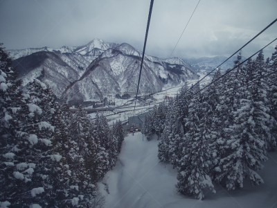 雪,滑雪运动,雪板,运动,雪山,病毒,参观者,佐阿山脉,动物雪车,户外