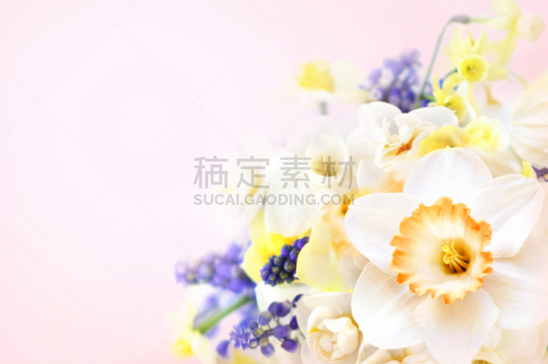 花朵,花束,春天,白色,黄色,水仙花,花,花