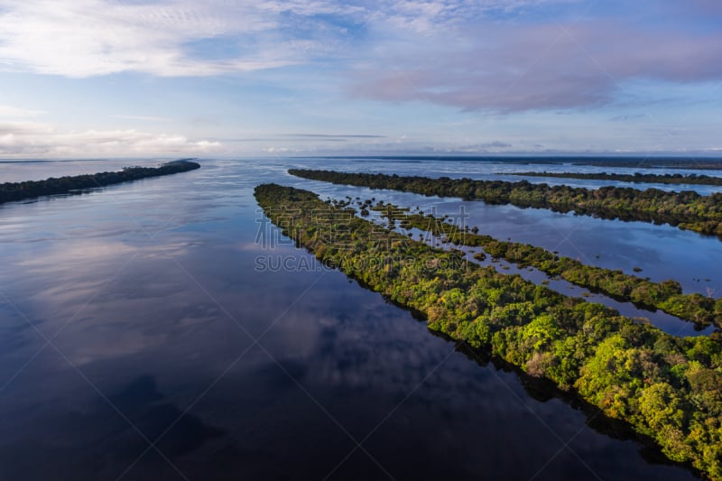 河流,亚马孙洲,航拍视角,水下,巴西,树