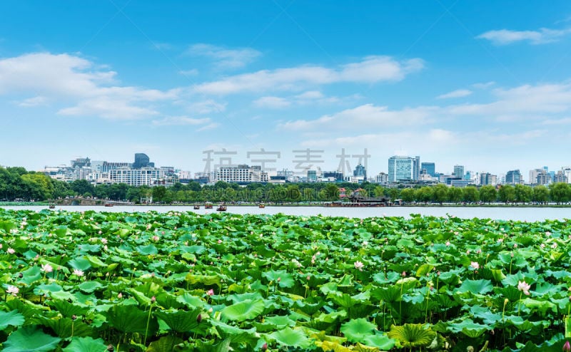 建筑,西湖,杭州,地形,自然,云,远距离,龙舟,船,自然美