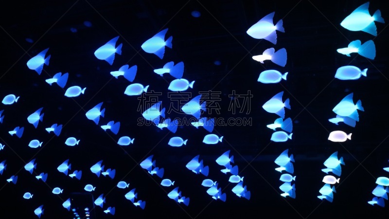 海南省,天花板,春节,暗色,背景,户外,节日,圆形,图像特效
