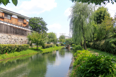 京都府,河流,日本,日本青酒,在之后,工厂,船,传统,帆,仅日本人