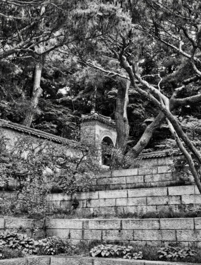 Korea's Traditional Palace Changdeok Palace, Black and white photo