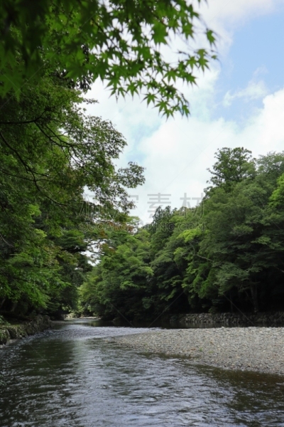 日本,风景,伊势米氏,云,枝繁叶茂,著名景点,三重县,河流,户外,天空