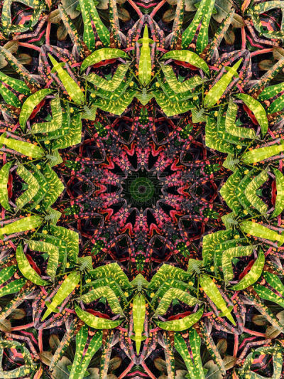 背景,万花筒,薄荷科,食用油,迷幻色,华丽的,超现实主义的,部分,对称