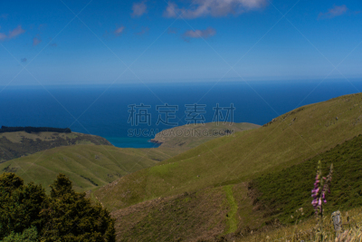 akaroa,在上面,新西兰,山,监守自盗,俄亥俄河,海岸线,看风景,非凡的,草