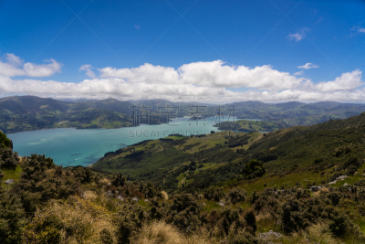 akaroa,在上面,海洋,新西兰,山,非凡的,看风景,监守自盗,海湾