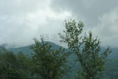 山,锡金,印度,森林,地形,绿色,云