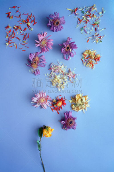 构图,花
