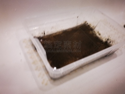 肮脏的,水,容器,农业,塑胶,瓶子,农场,植物,水下