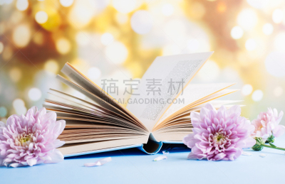 开着的,菊花,背景虚化,运动模糊,背景,旧约书,浪漫,复古风格,古董,古典式
