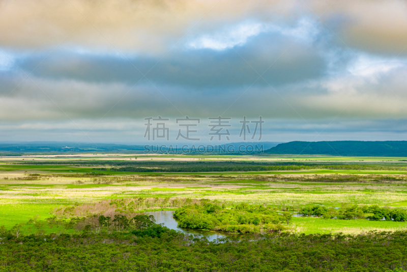 北海道,夏天,钏路湿原国立公园,白昼,云,不关心,植物,河流,晴朗,自然