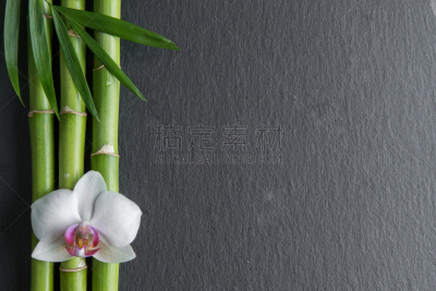 兰花,竹,黑色,花
