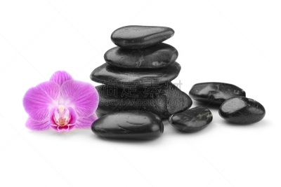兰花,石头,黑色,白色,花