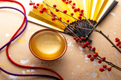 日本青酒,图像,新年,传统,黄金,赤犬,新年前夕,枝,餐具,金色