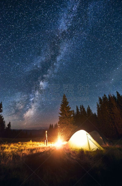 森林,夜晚,旅行者,营火,站,靠近