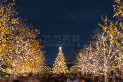 惠比寿花园广场,冬天,传统节日,城市生活,事件,圣诞装饰物,银杏,著名景点,餐馆,园林
