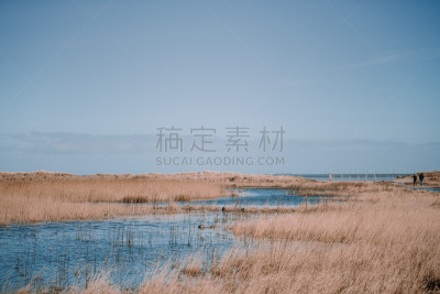 海滩,海洋,威廉港