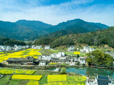 油菜花,黄色,从上面看过去,江西省,远古的,乡村,婺源,田地