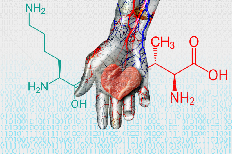 金属质感,心型,人造的,氨基酸,二进制码,棕榈树,肉,背景聚焦,公式,布置