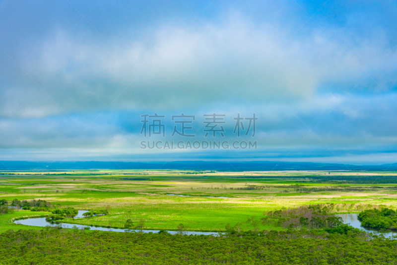 北海道,夏天,钏路湿原国立公园,白昼,云,不关心,植物,河流,晴朗,自然