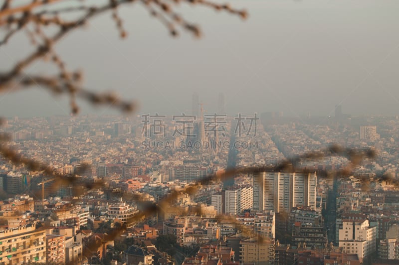 都市风景,枝,巴塞罗那,前面,,运动模糊,国际著名景点,寒冷,旅途