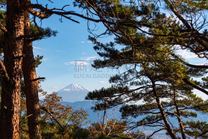 富士山,风景,世界遗产,自然美,云景,背景分离,空中缆车,云,雪,不关心