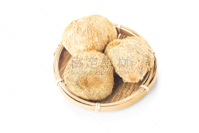 清新,白色背景,猴头菇