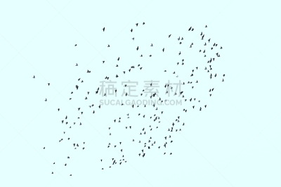 背景,一群鸟,背景分离,自由,风,野生动物,环境,翅膀,北美歌雀,动物