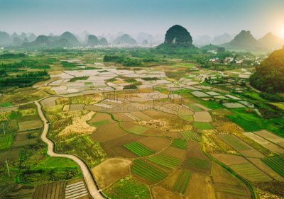 稻,中国,风景,田地,桂林,喀斯特,地形,农业,石灰石,稻田