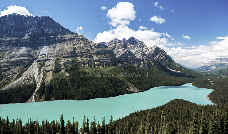 加拿大,平投湖,阿尔伯塔省,自然美,国内著名景点,环境,著名景点,湖,夏天,户外
