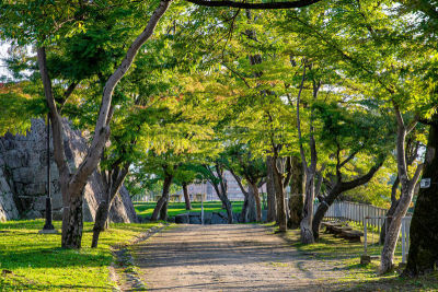 风景,派克大街