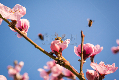 photoueua82
