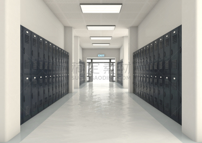 学校,储物柜,出口标志,街道,安全,健康保健,建筑物门,步行道路,走廊,门