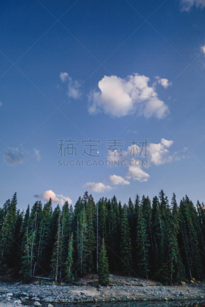 月亮,自然美,夏天,科罗拉多州,留白,日落湖,在上面,西