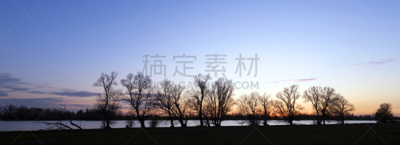 河流,荷兰,河堤,树,剪影