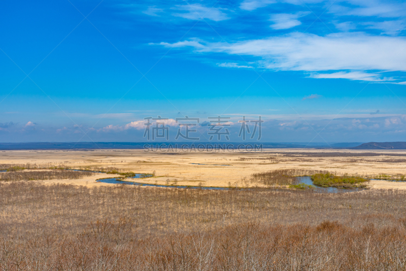 春天,钏路湿原国立公园,北海道,白昼,国内著名景点,环境,云,不关心,湖,植物