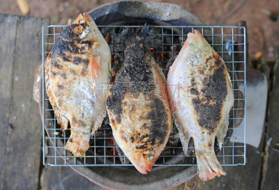 格子烤肉,炊具,鱼类,红色,罗非鱼,食盐,烤的,食品,泰国,餐馆
