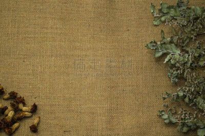 万寿菊,干的,粗麻布,背景,花