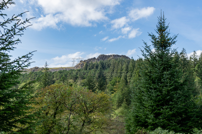 dartmoor,英国,德文郡,地衣,公园,枝繁叶茂,摩尔人风格,植物,瀑布,户外